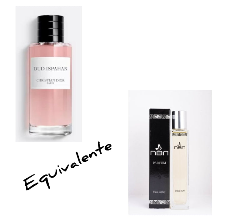 Dior Ambre Nuit unisex equivalente